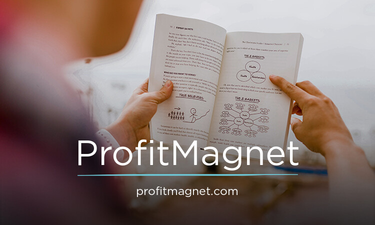 ProfitMagnet.com - Good premium domain marketplace