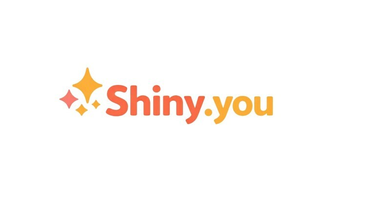 Shiny logo