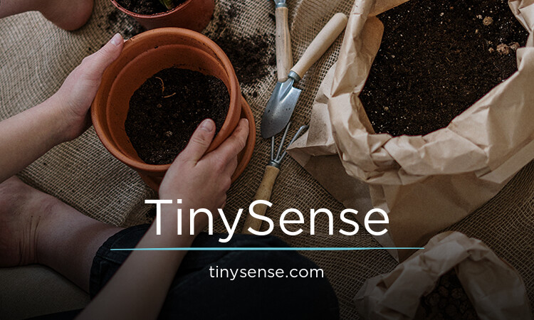 TinySense.com - buy Creative premium domains
