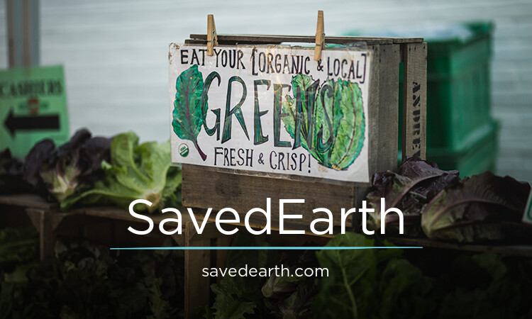 SavedEarth.com - Good domains for sale