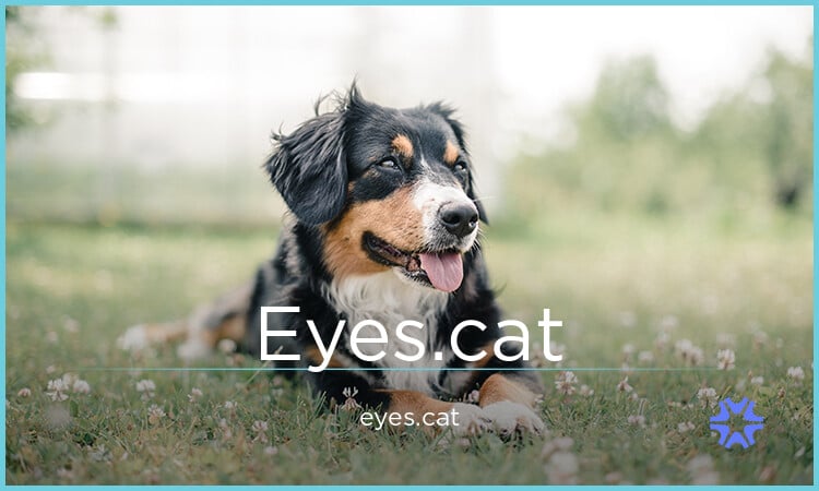 Eyes logo