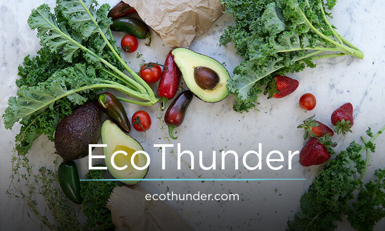 EcoThunder.com - buy New premium names