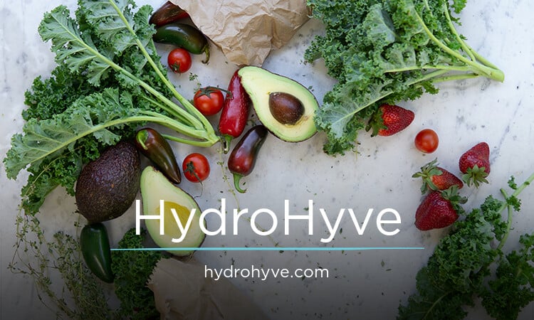 HydroHyve.com - buying Great premium names