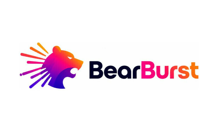BearBurst.com - Best premium domain names