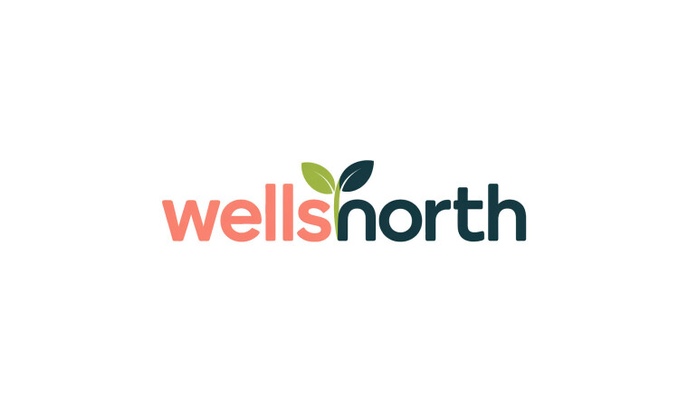 WellsNorth.com - Best premium domains