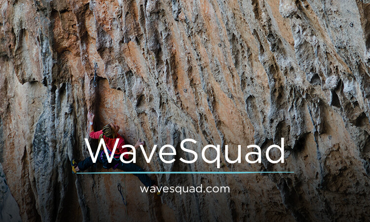 WaveSquad.com - New premium domain marketplace