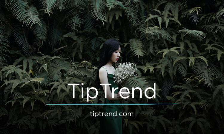 TipTrend.com - Catchy premium domain names