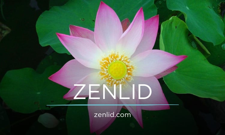 ZenLid.com - buy New premium domains