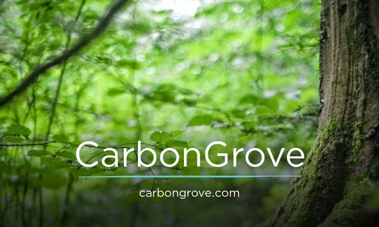 CarbonGrove.com - Unique premium domain marketplace