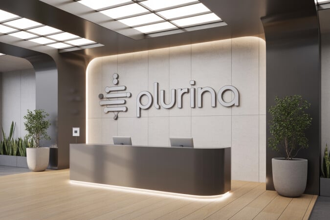 Plurina.com image 3