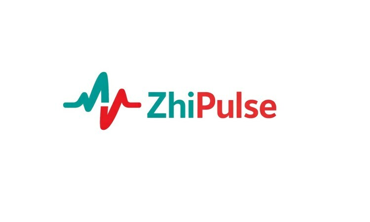 ZhiPulse.com - Good premium domain marketplace