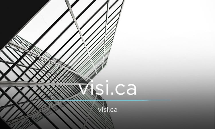 Visi logo