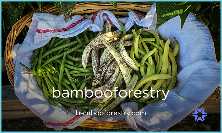 BambooForestry logo