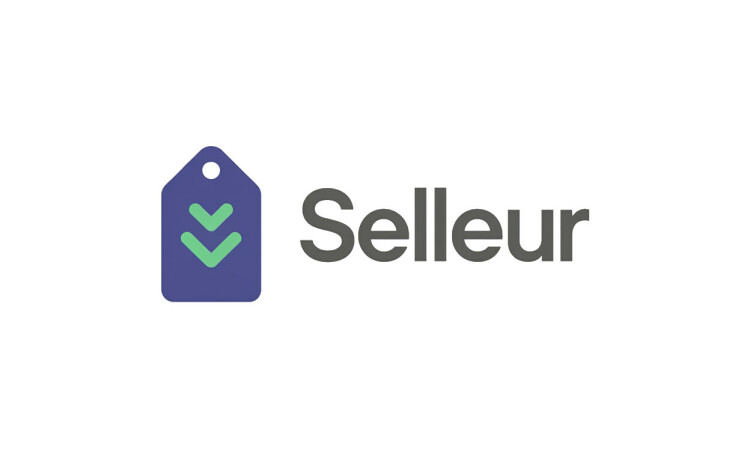 Selleur.com - Best domains for sale
