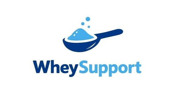 WheySupport.com - buy Great premium domains