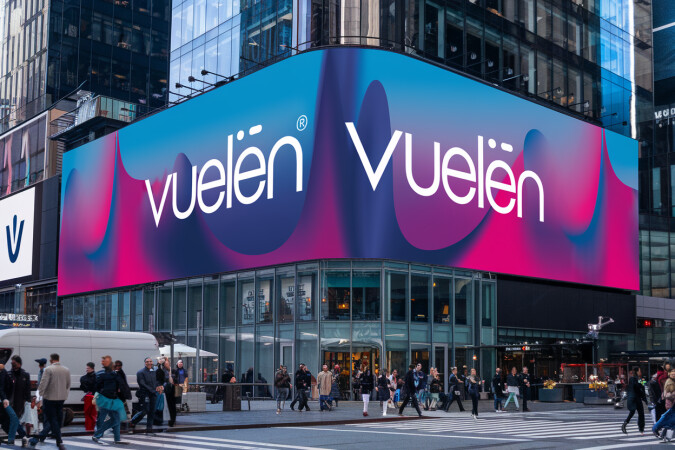 Vuelen.com image 2