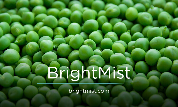 BrightMist.com - buying Catchy premium names