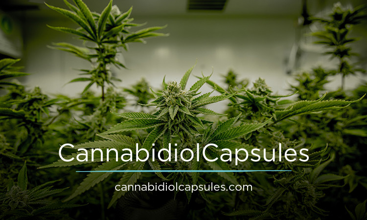 CannabidiolCapsules logo