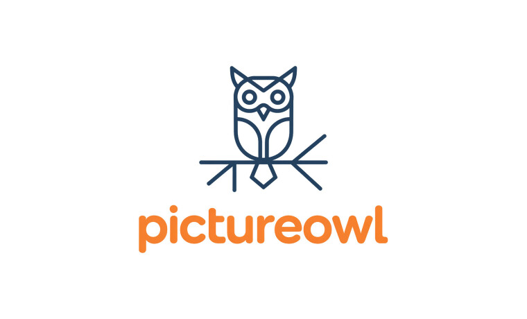 PictureOwl.com - Catchy premium domains