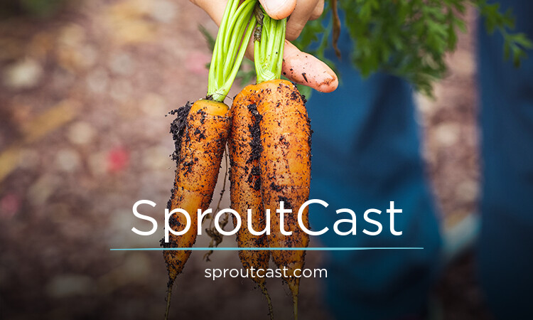 SproutCast.com - Great premium domain marketplace