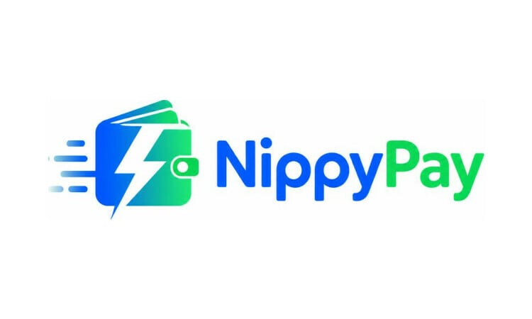 NippyPay.com is for sale