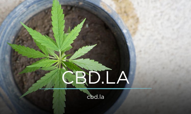 CBD logo