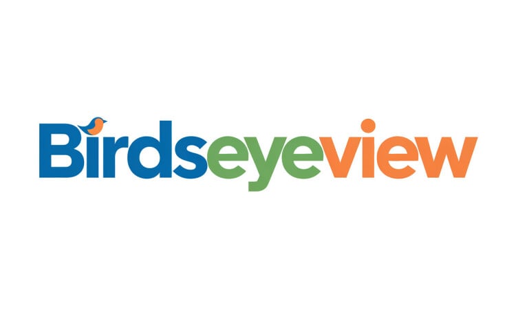 BirdsEyeView logo