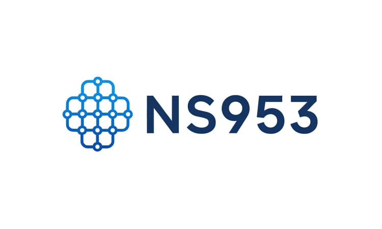 Ns953 logo