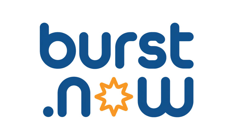Burst.now - Great premium domains for sale