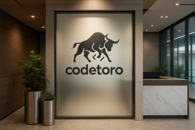 codetoro.com image 4