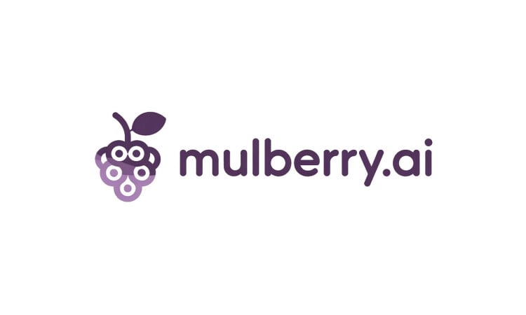 Mulberry.ai