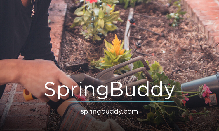 SpringBuddy.com - Creative domains for sale