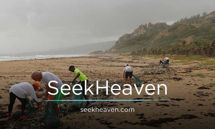 SeekHeaven.com - Best domains for sale