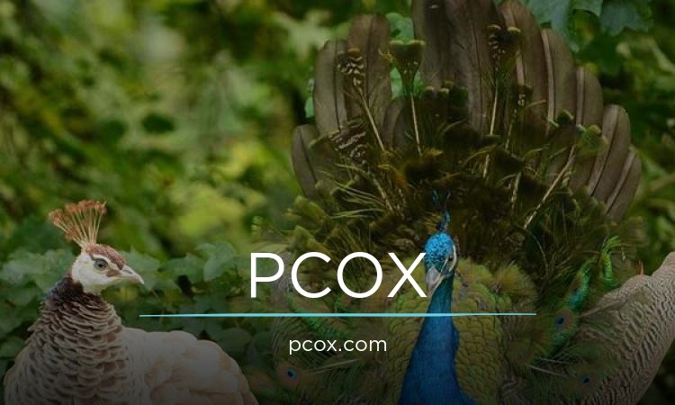 PCOX.com - Cool premium names