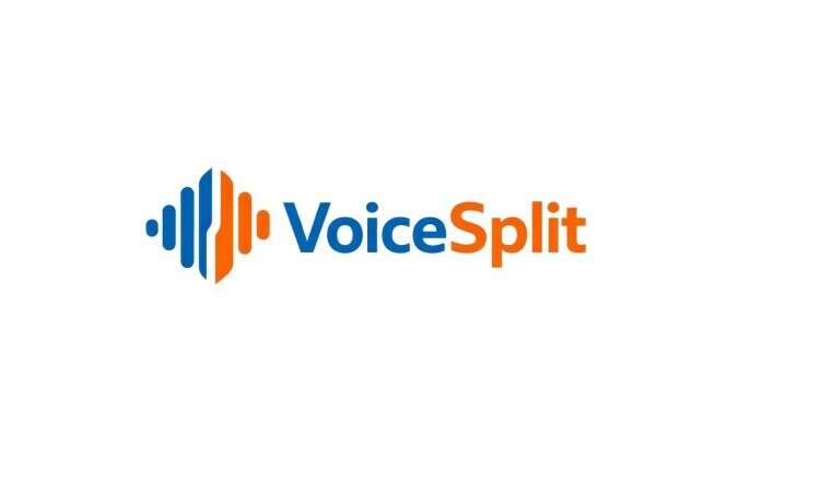 VoiceSplit.com
