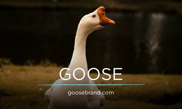 GooseBrand.com - Good premium names