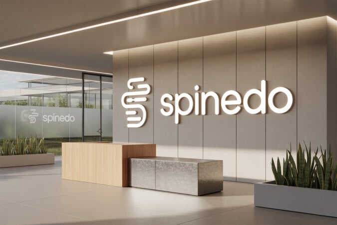Spinedo.com image 4