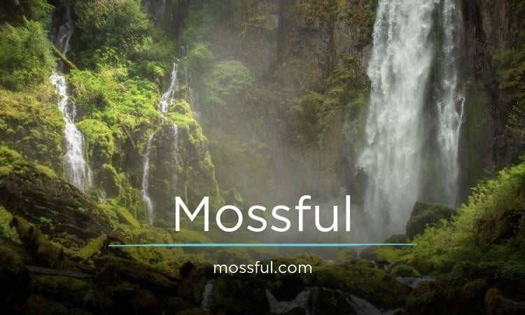 Mossful.com - Creative domains for sale