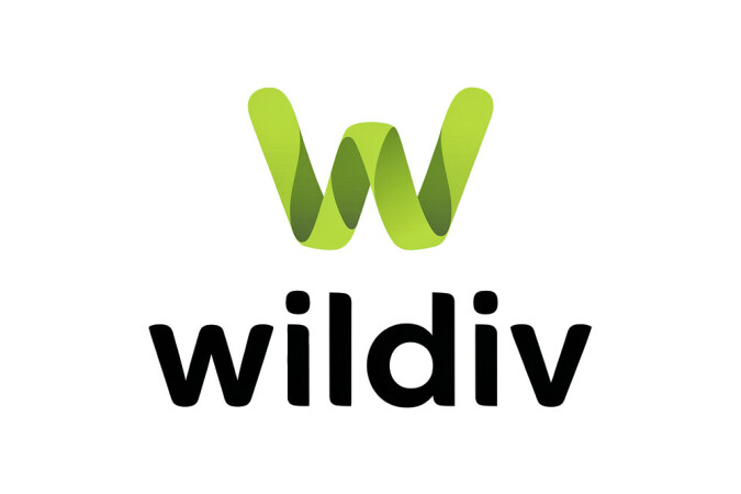 Wildiv.com - Great domains for sale