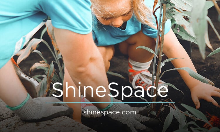 ShineSpace.com - Best premium domain names
