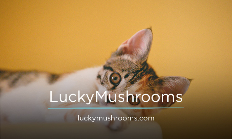 LuckyMushrooms.com - Great premium domain marketplace