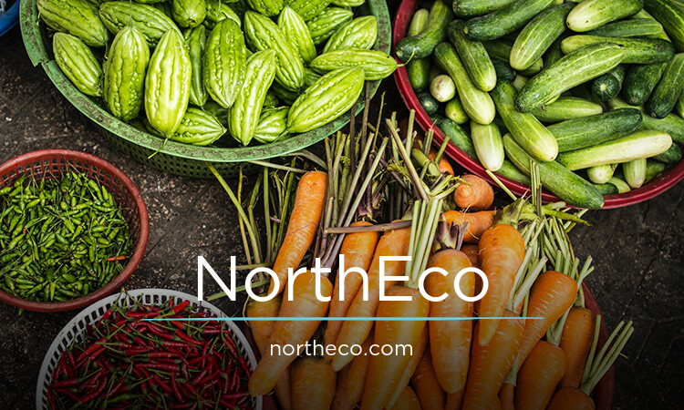 NorthEco.com - Catchy premium domains