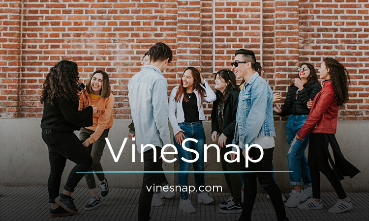 VineSnap.com - Catchy premium domain names for sale