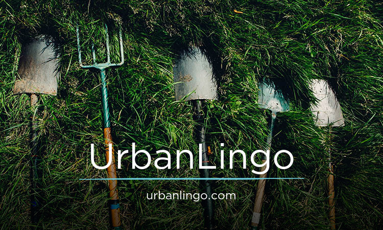 UrbanLingo.com - buying Cool premium names