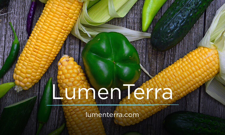 LumenTerra.com - Best premium domains