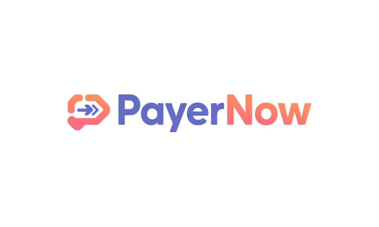 PayerNow logo