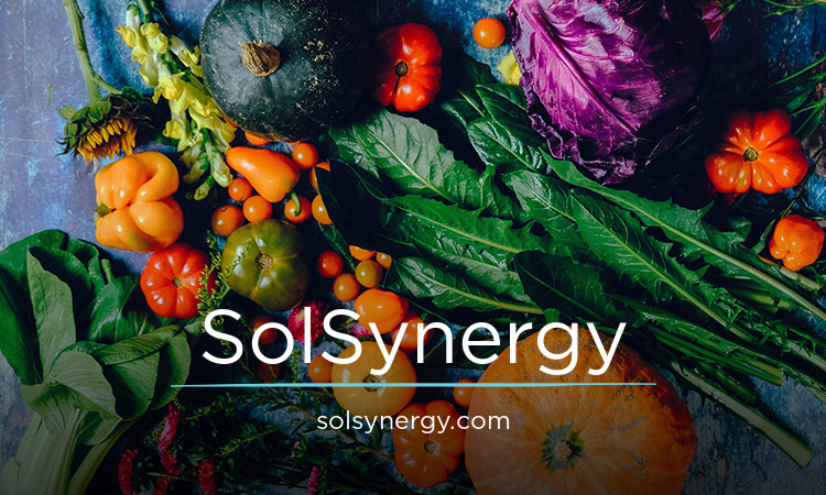 SolSynergy.com - Cool premium names