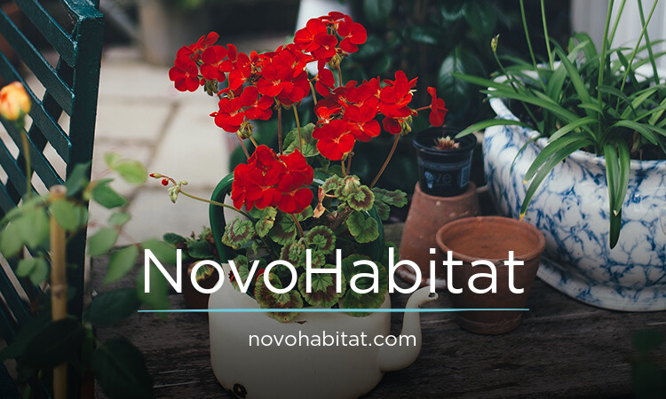 NovoHabitat.com - buying Creative premium names