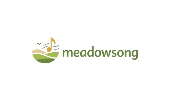 meadowsong.com - Cool premium domains for sale