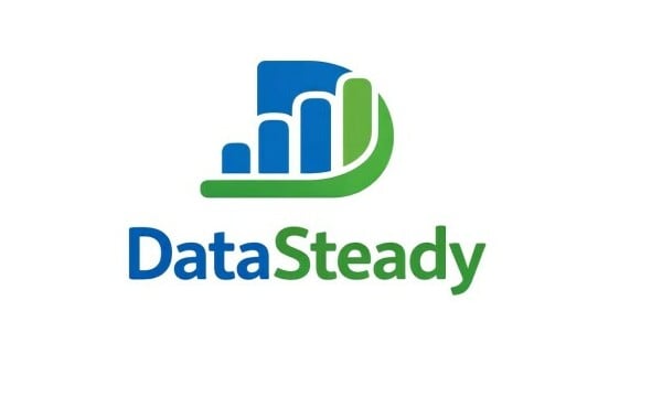 DataSteady logo